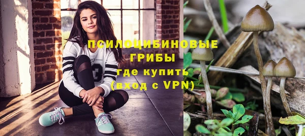 а пвп мука Богданович